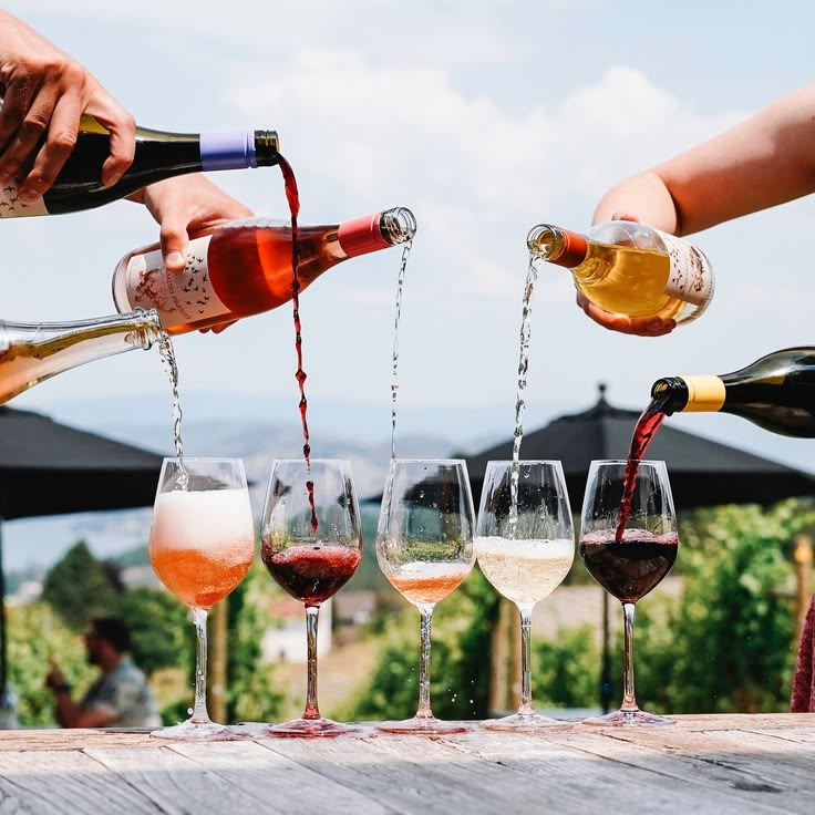 Vinhos tinto, rosé, branco e espumante sendo servidos nas taças
